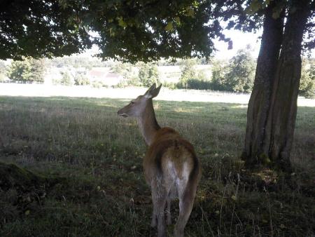 Etape du tour d'Igny en v�lo 